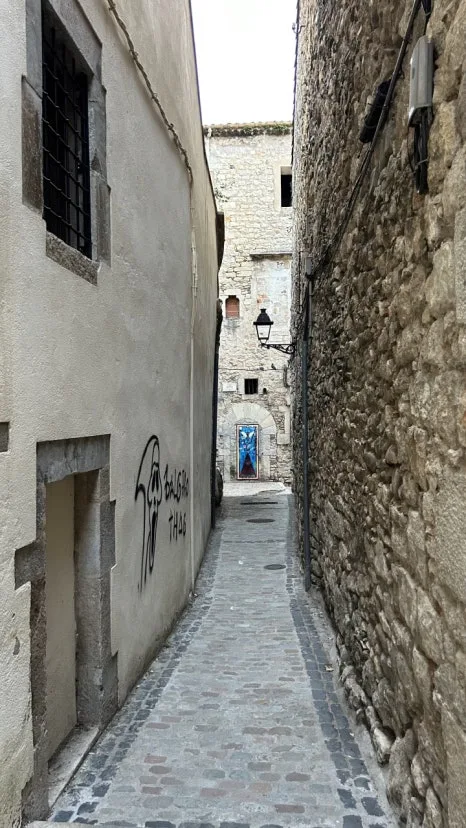 IMG_E0898.JPG?type=w466