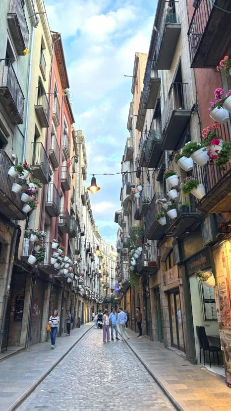 IMG_E0843.JPG?type=w466