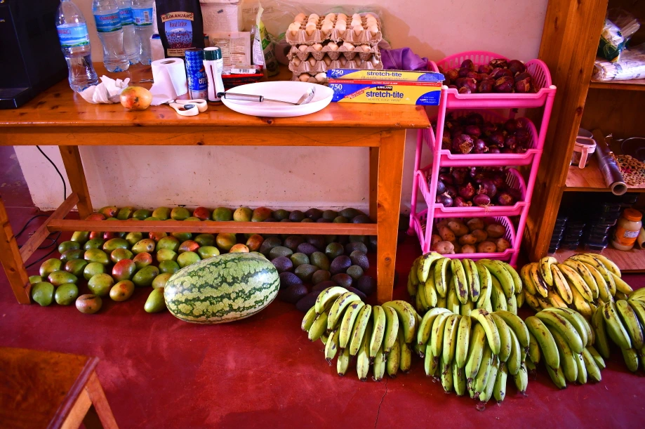 DSC_0223.JPG?type=w1