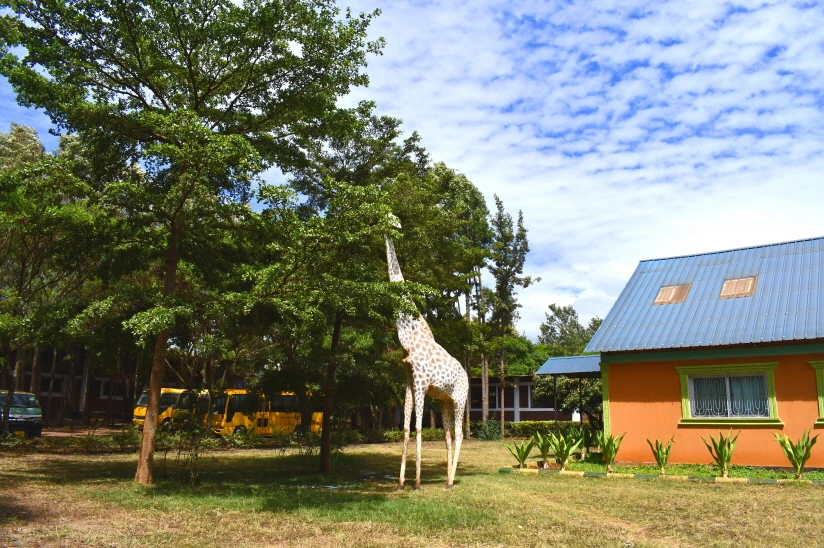 DSC_0263.JPG?type=w1