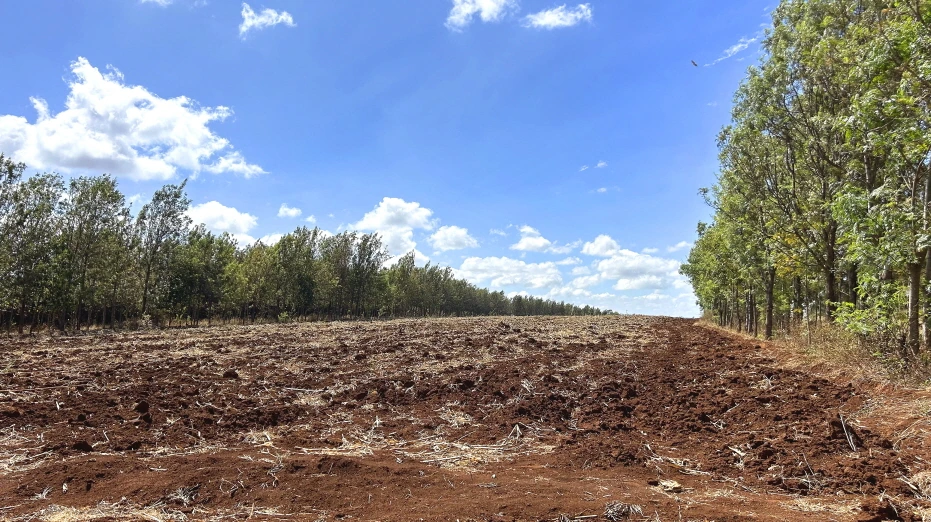 IMG_E2263.JPG?type=w1