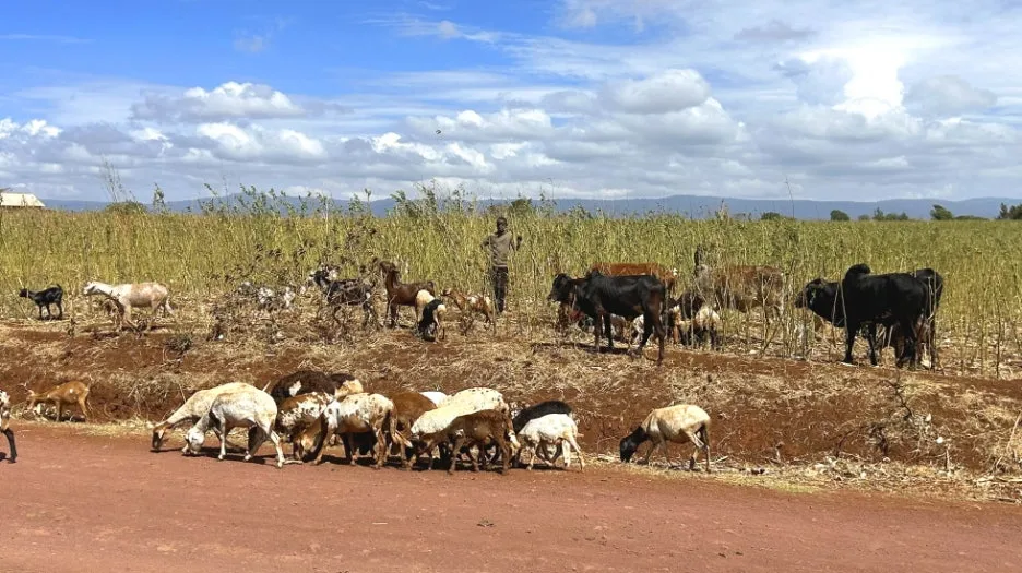 IMG_E2266.JPG?type=w1