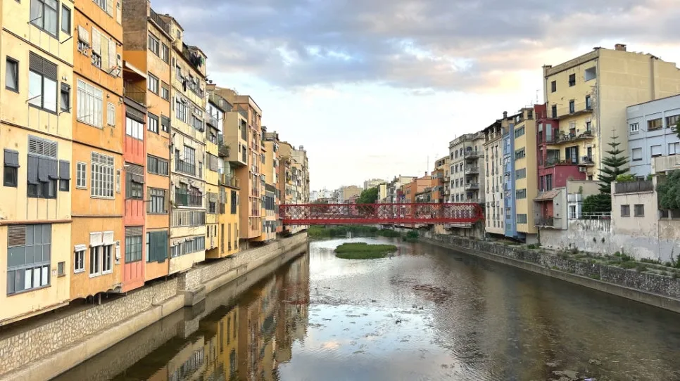 IMG_E0844.JPG?type=w966