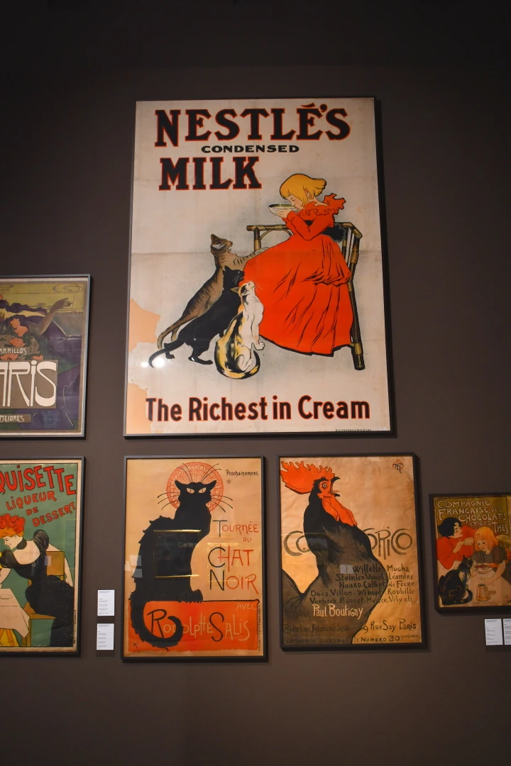 DSC_9342.JPG?type=w966