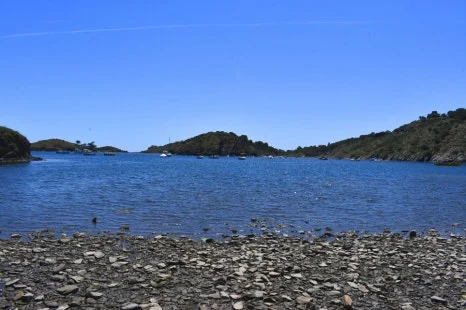 DSC_9791.JPG?type=w466