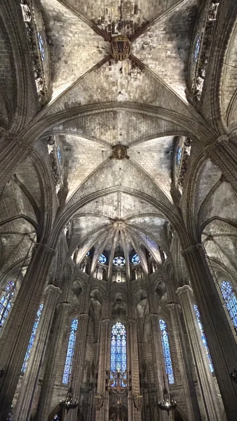 IMG_E0661.JPG?type=w466