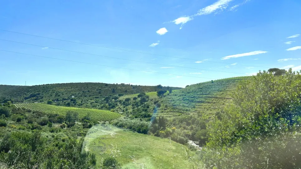 IMG_E0866.JPG?type=w966