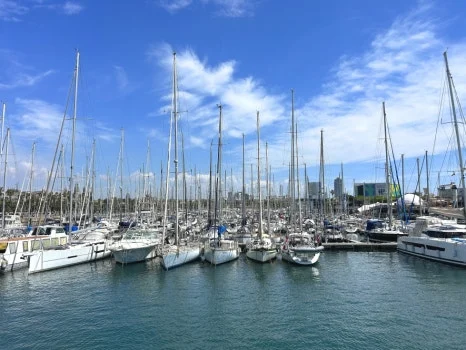 IMG_0787.JPG?type=w466