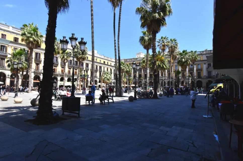 DSC_9161.JPG?type=w966