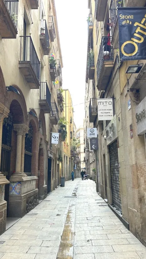 IMG_E0602.JPG?type=w466