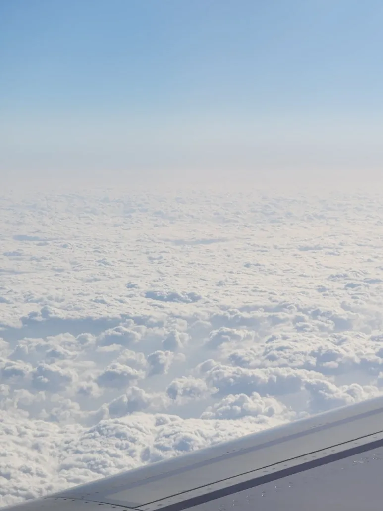 20260127_151919_1.jpg?type=w773