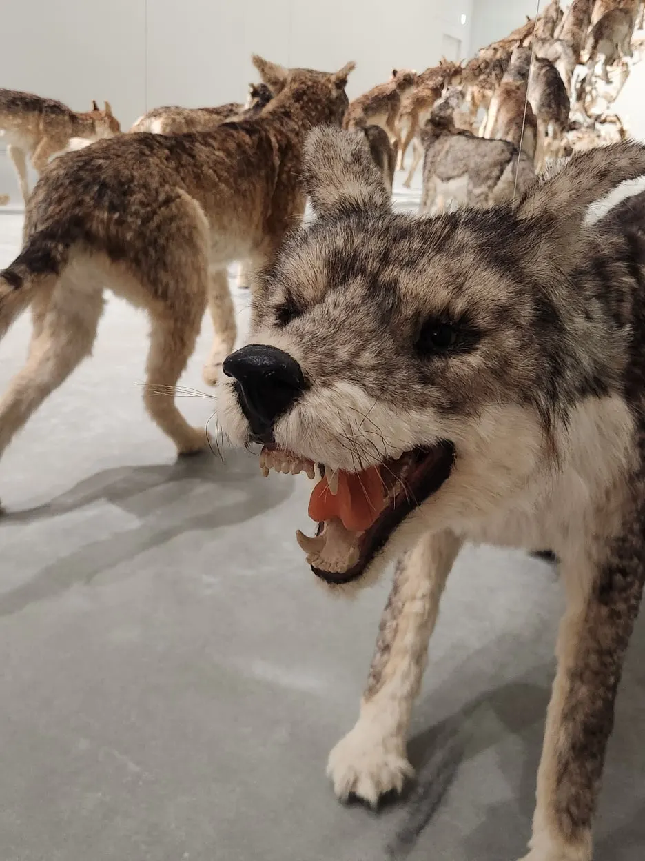 20260128_134554.jpg?type=w1