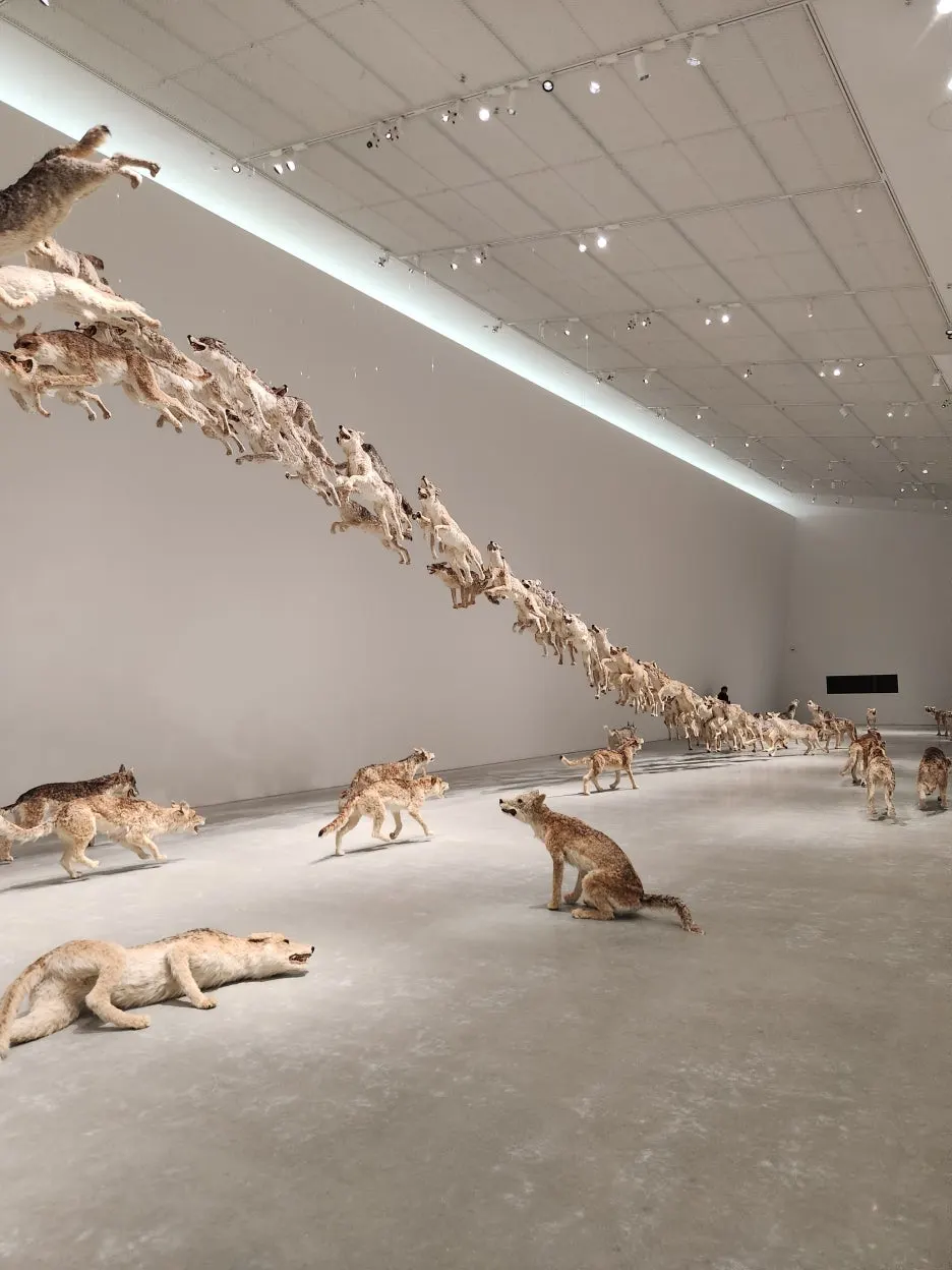 20260128_134433.jpg?type=w1