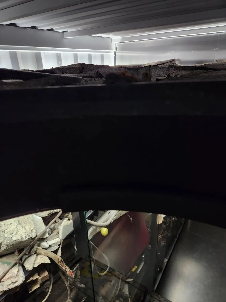 20260128_132006.jpg?type=w1