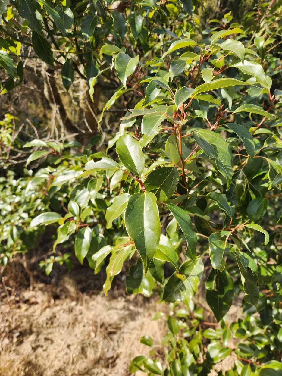 20260128_114221.jpg?type=w1