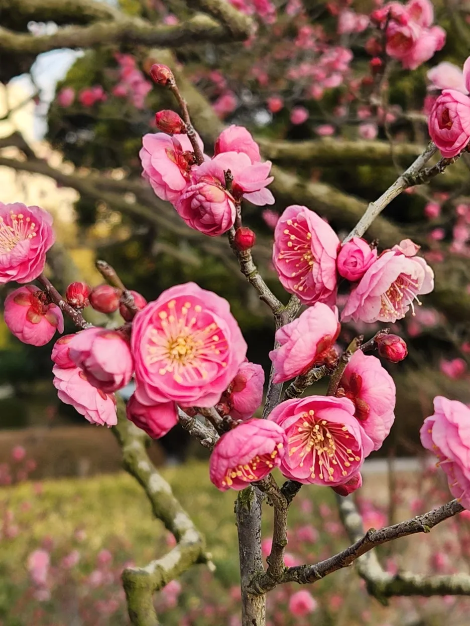 20260128_162009.jpg?type=w1