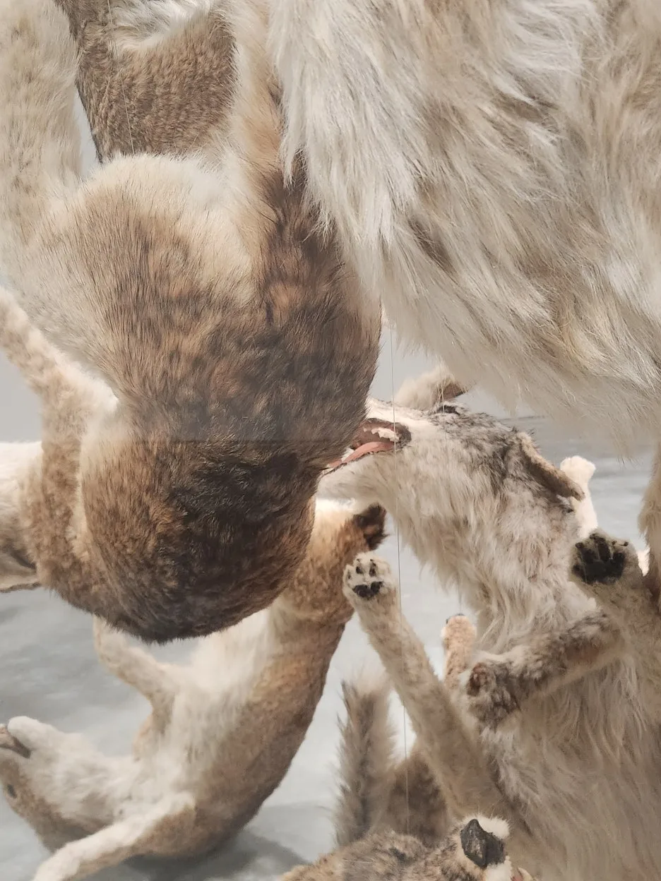 20260128_134445.jpg?type=w1