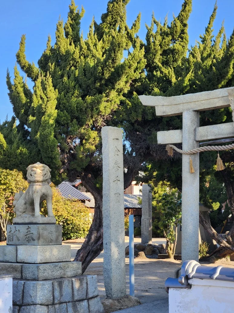 20260128_092714.jpg?type=w773