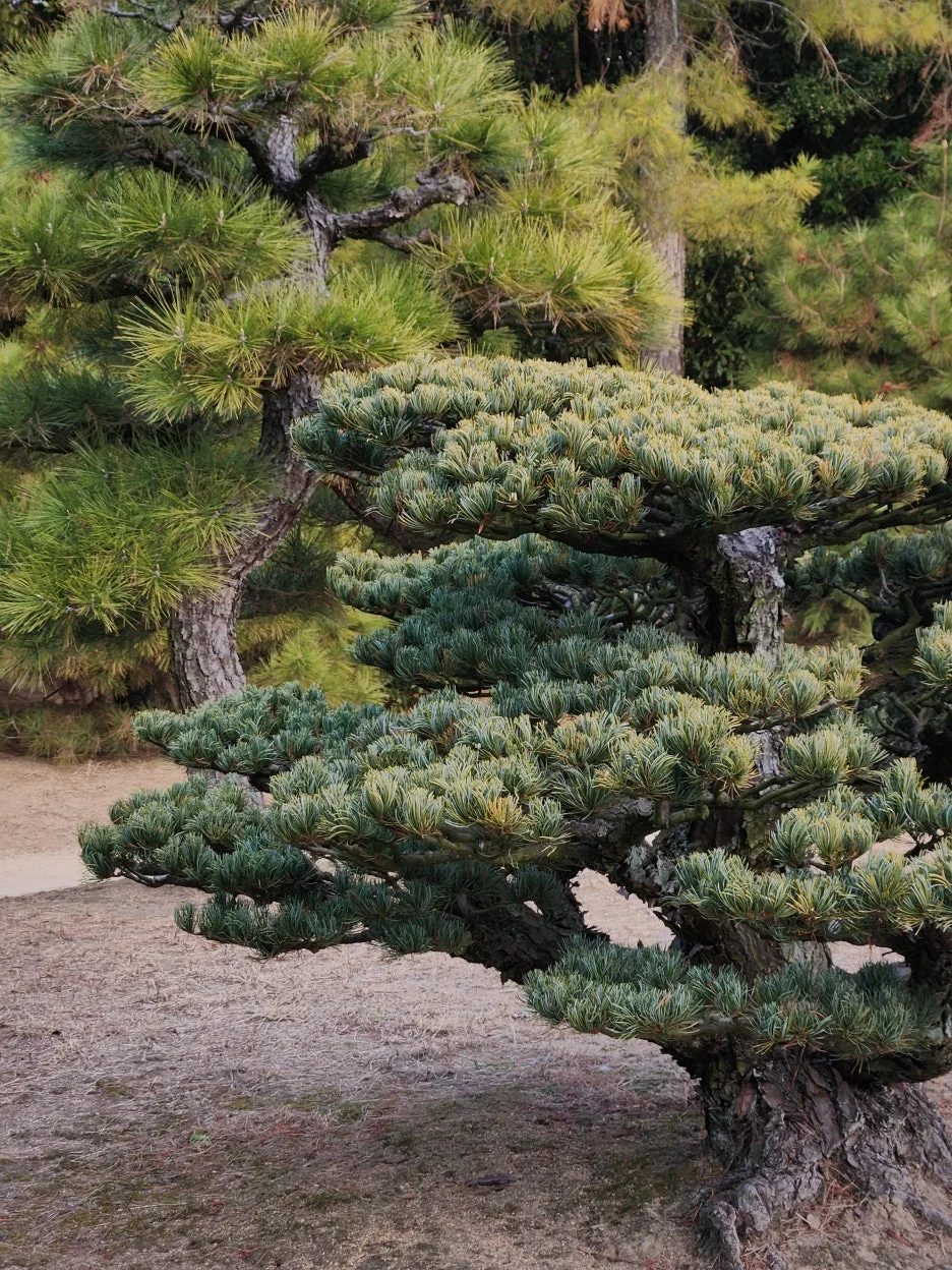 20260128_162441.jpg?type=w1