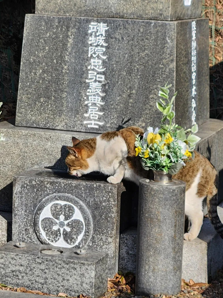 20260128_093412_1.jpg?type=w773