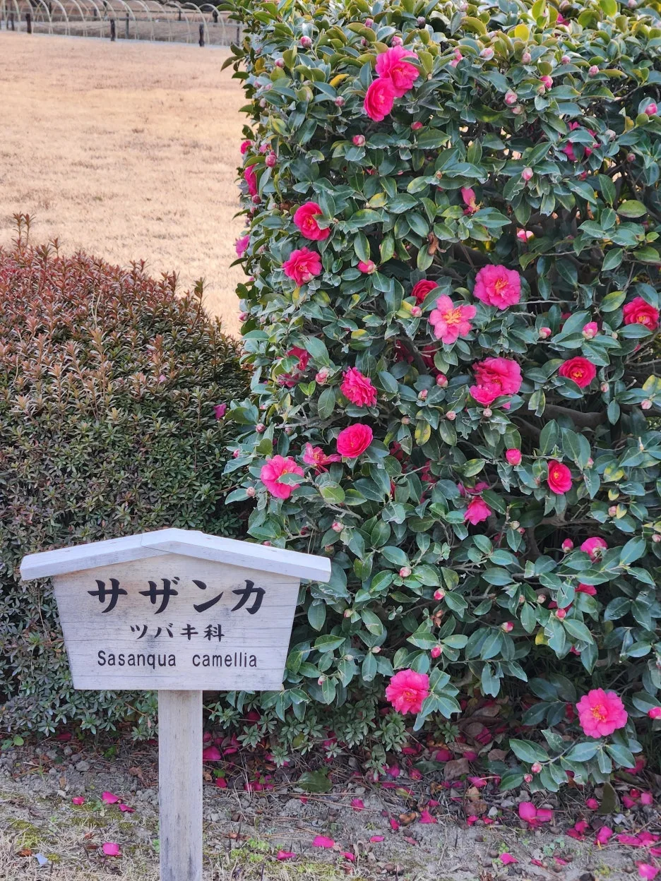 20260128_161030.jpg?type=w1