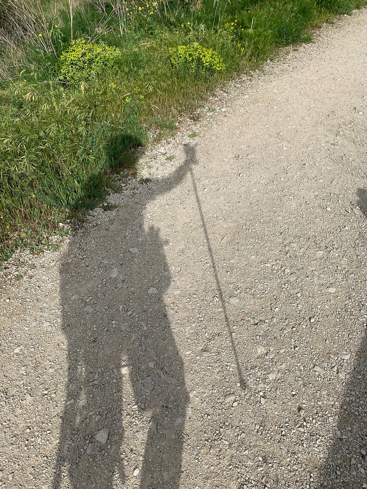 KakaoTalk_Photo_2026-03-10-01-04-27 004.jpeg