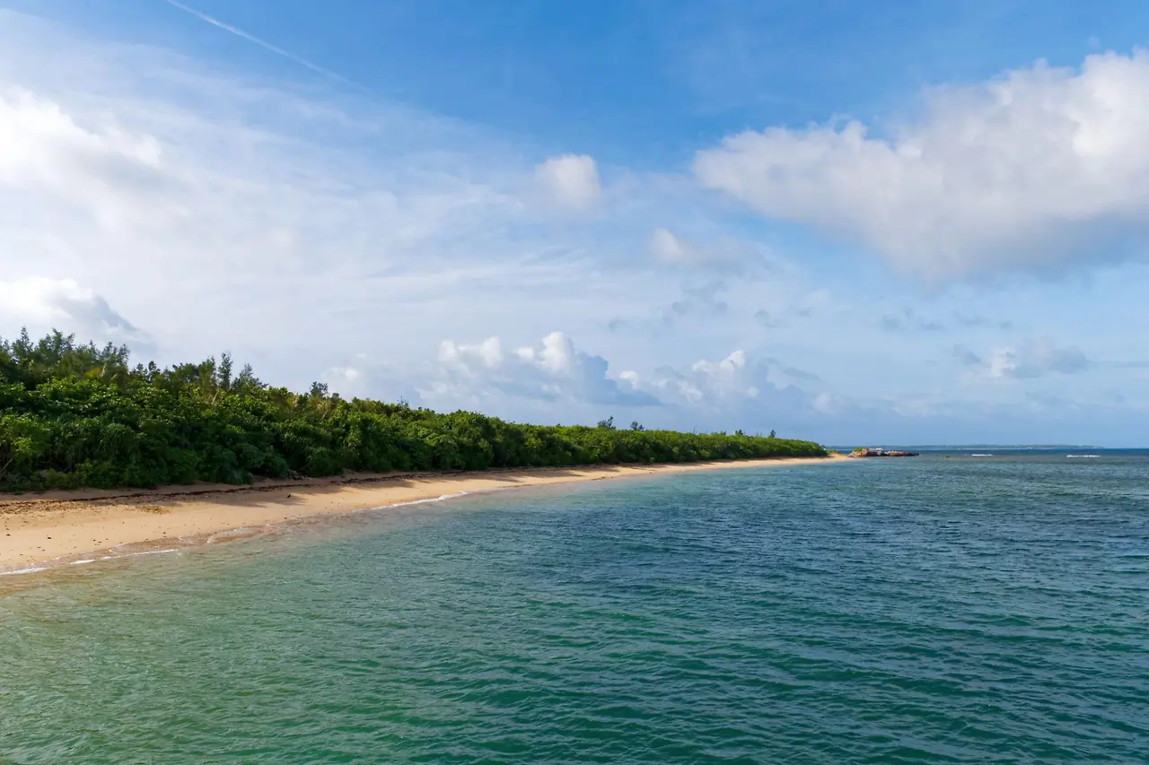 BKNDAA_TAWqYHHywJiAE3kAF-QKIOwVwgpT7GJN8azF9Tr1rbePJ8nl_NgQXiZDGbyMG_yaPF-iN4ALZ3Kb1WiMDlykrWqXCW7hQbcPXmk4?purpose=fullsize&v=1