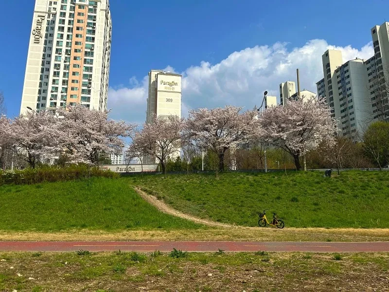 djjunggu8_223408544002_9.jpg?f=webp&q=80&w=800