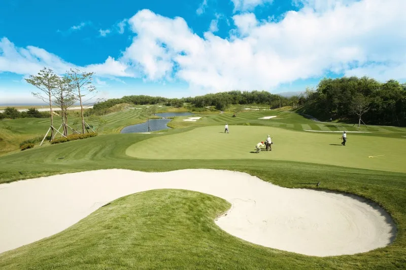 IT_tip301t000494.jpg?type=w800