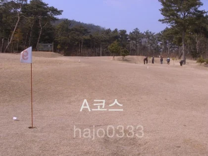 SI850095.JPG?type=w420