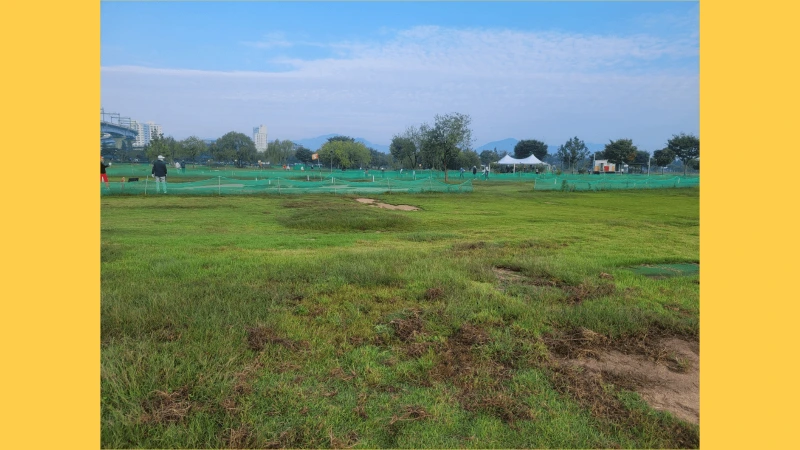 %EB%82%98%EC%9D%B4%EC%8A%A4.png?type=w800