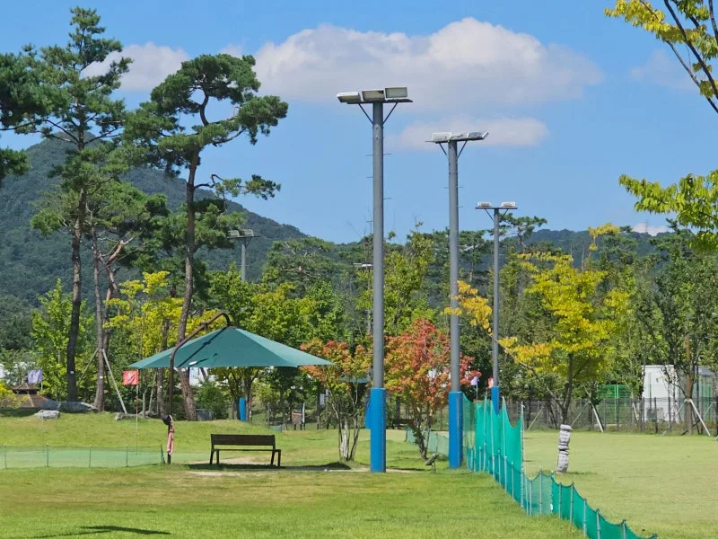 3____20240819_134100084_27.jpg?type=w800