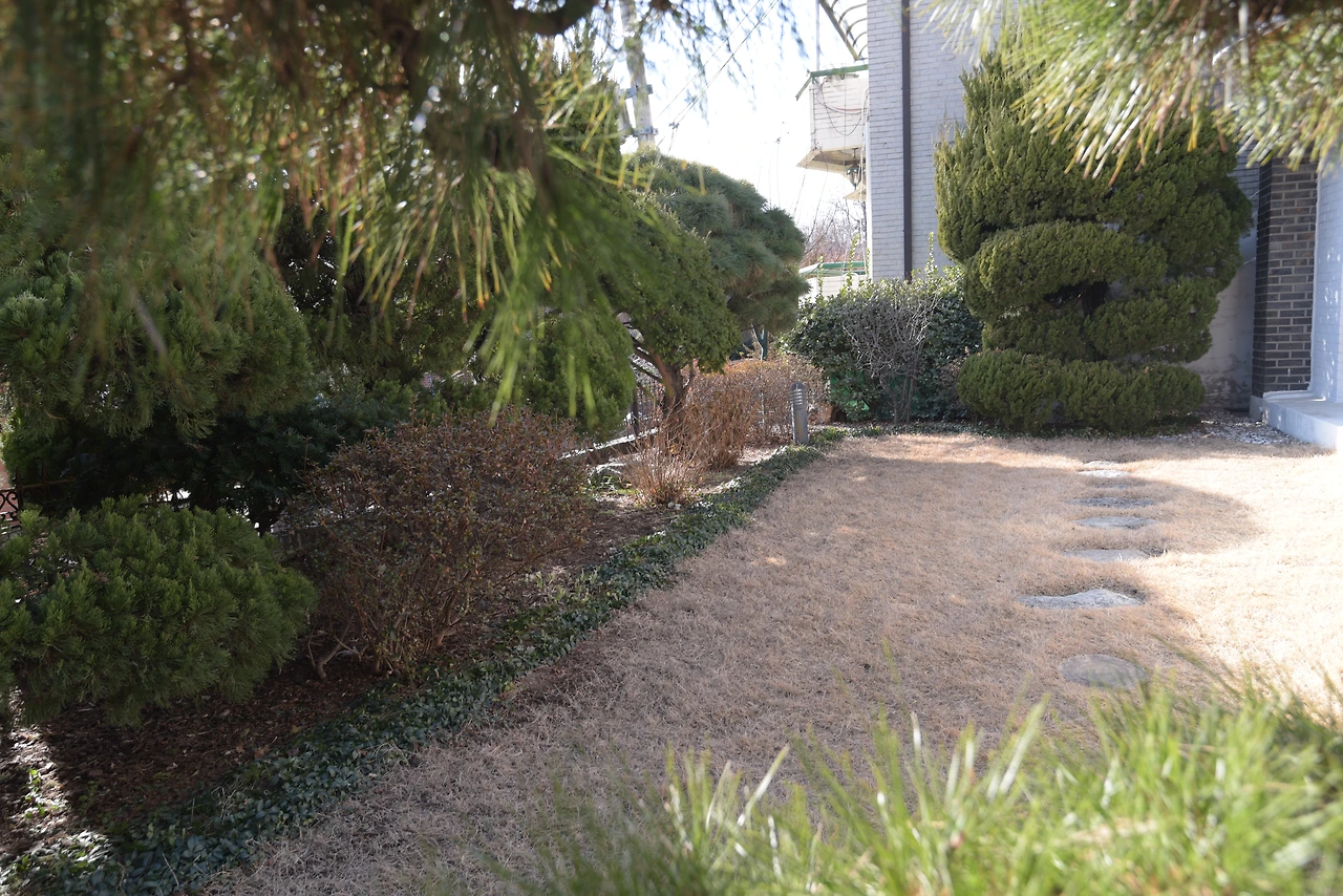 메마른 정원이 부른다.JPG