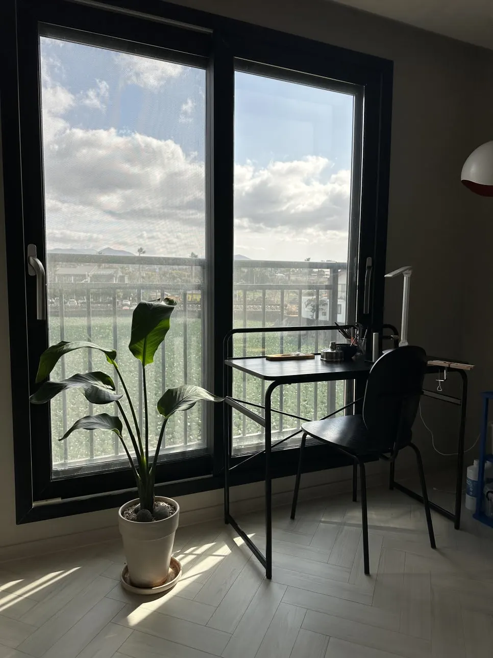 IMG_7211.jpg?type=w966