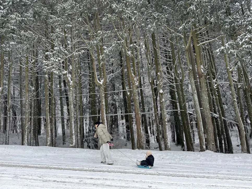 IMG_8180.jpg?type=w966