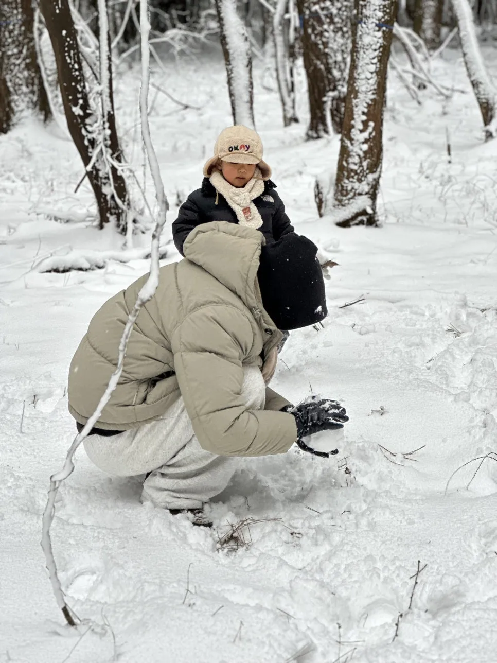 IMG_8330.jpg?type=w966