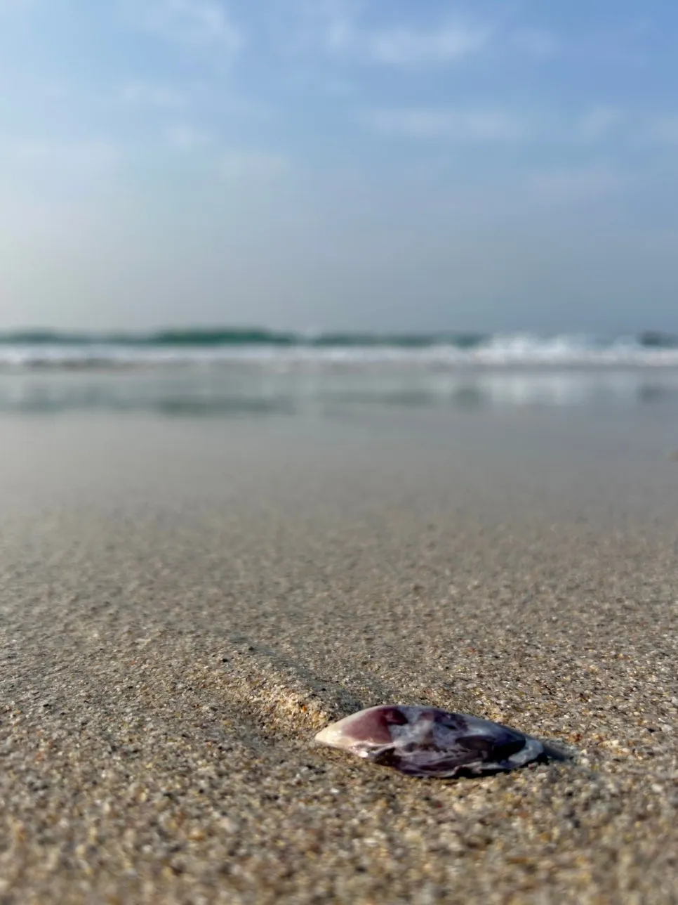 SE-0b168571-1488-44a0-9e74-f20a76295e0d.jpg?type=w966