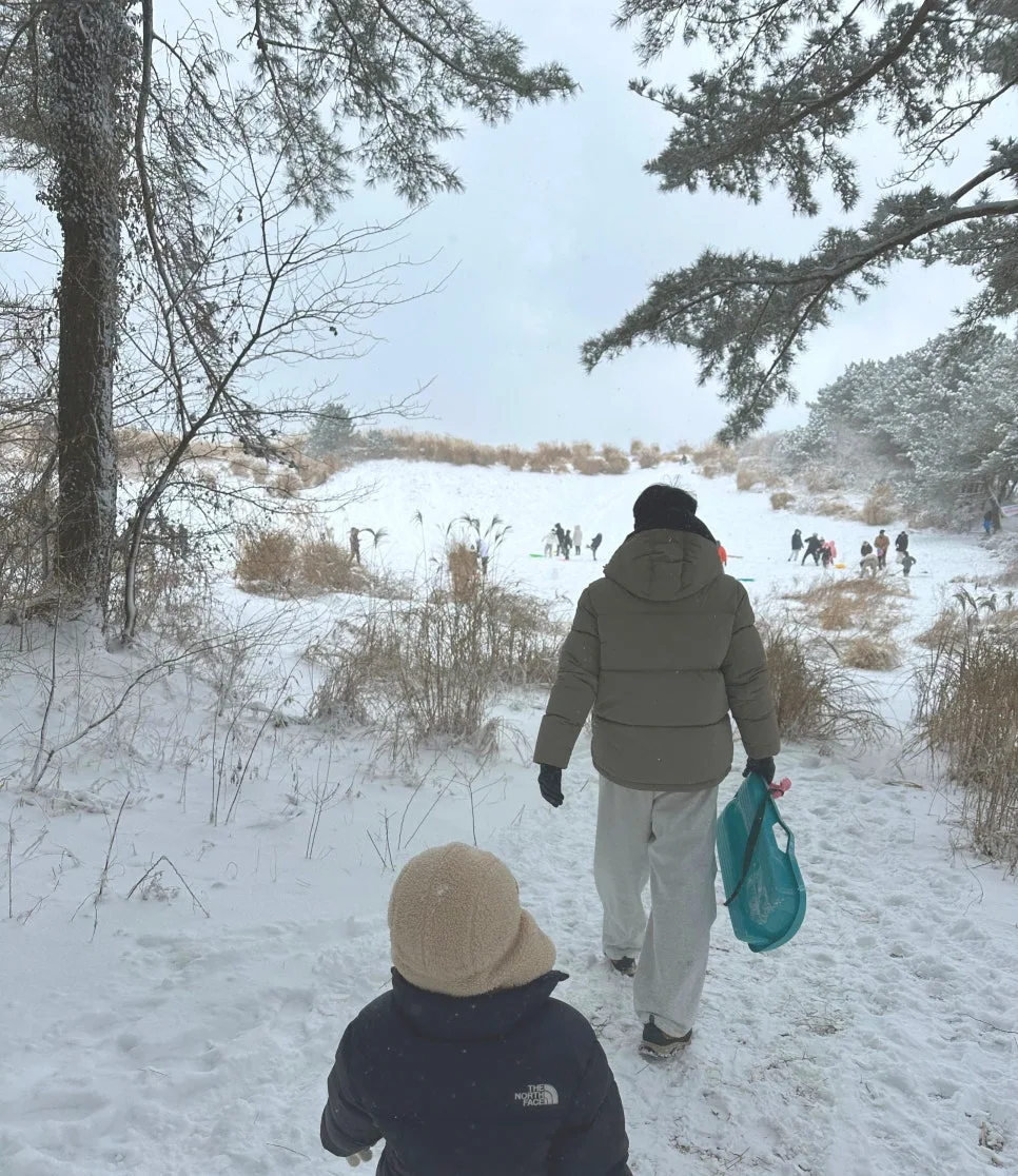 SE-db9146b0-a812-4ac8-bdb4-10ad680dfdb4.jpg?type=w966