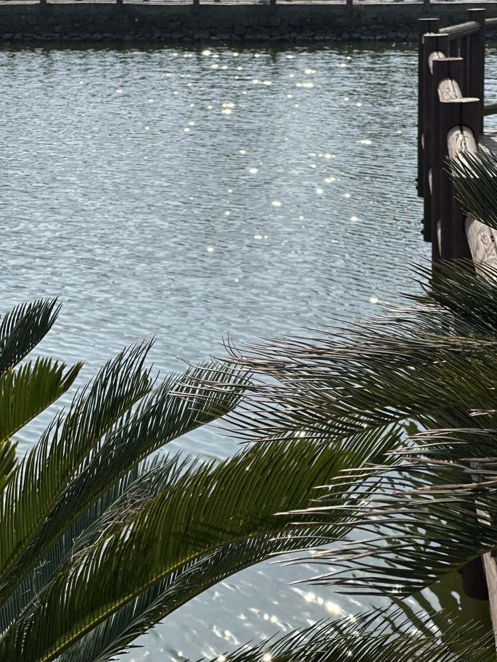 IMG_7141.jpg?type=w966