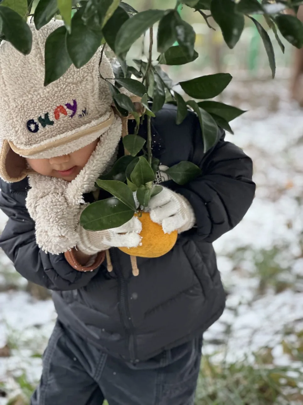 IMG_7368.jpg?type=w966