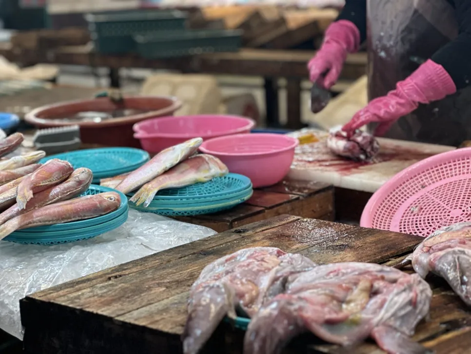 IMG_6664.jpg?type=w966