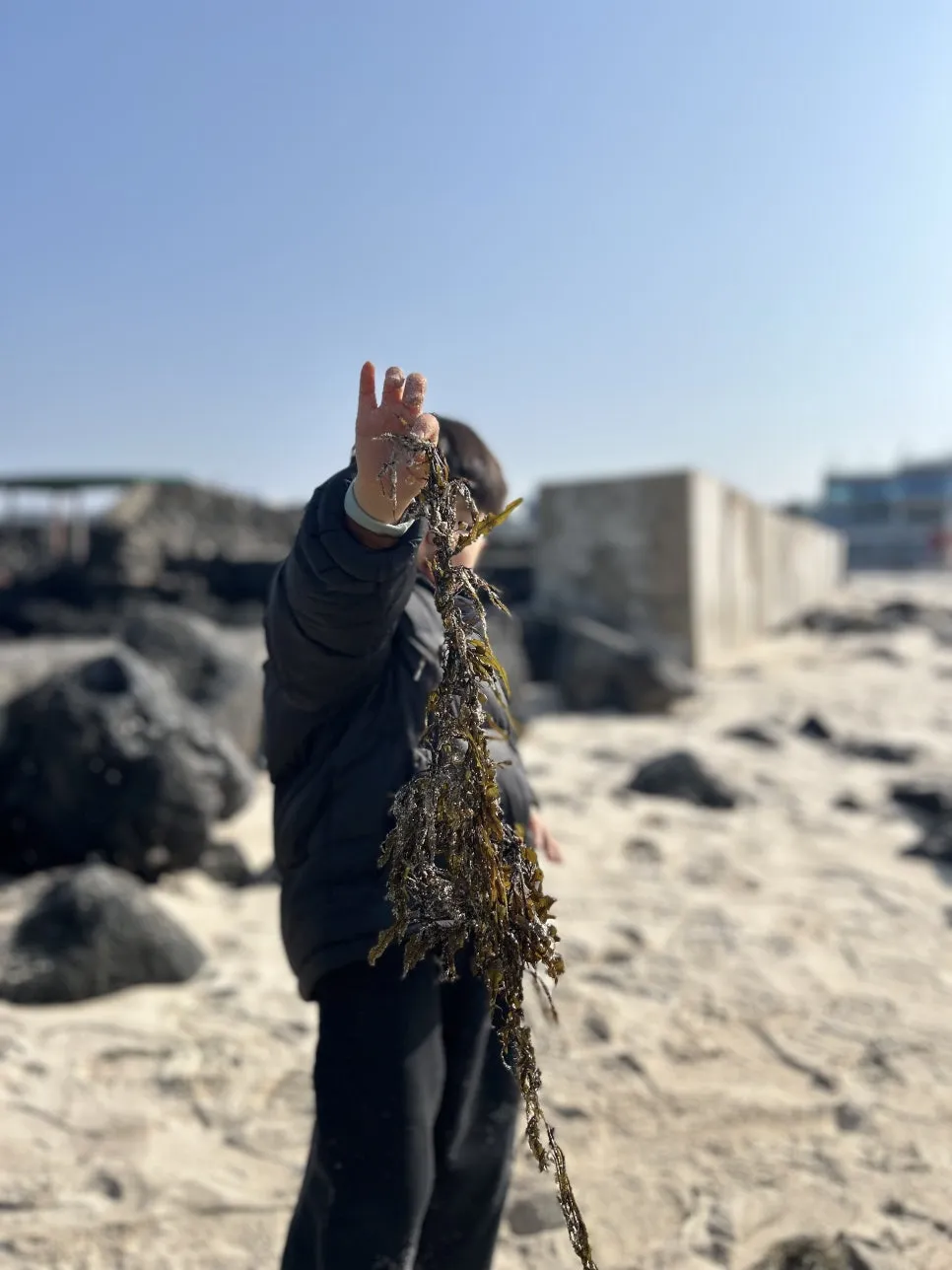 IMG_0613.jpg?type=w966