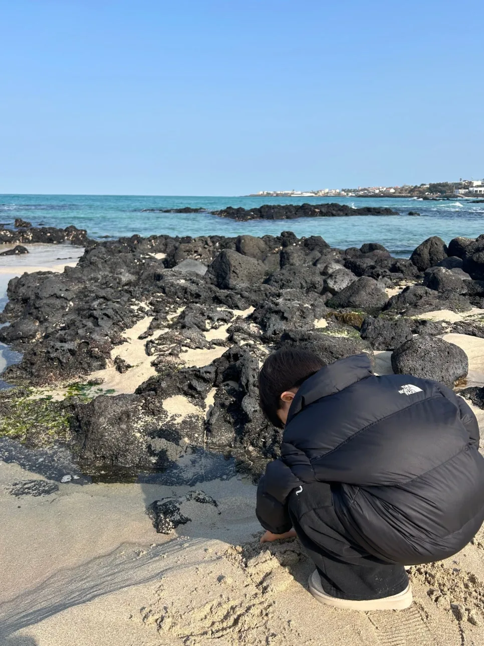 SE-25466936-fa76-4c4e-af76-481370606dac.jpg?type=w966