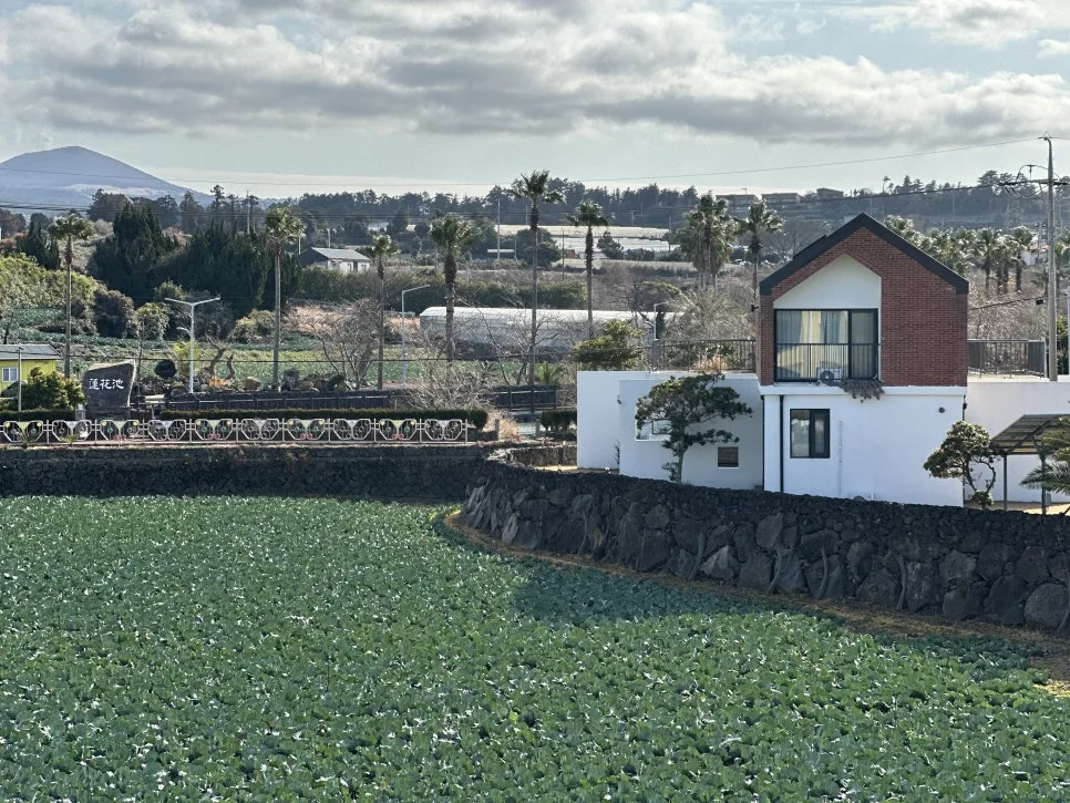 IMG_7229.jpg?type=w966