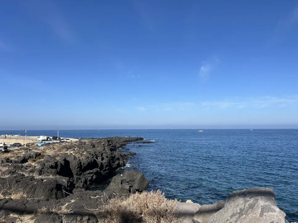 IMG_0748_2.jpg?type=w966