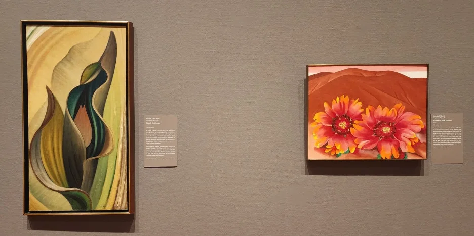 SE-553c5983-300d-4425-b339-1749416c16b2.jpg?type=w1