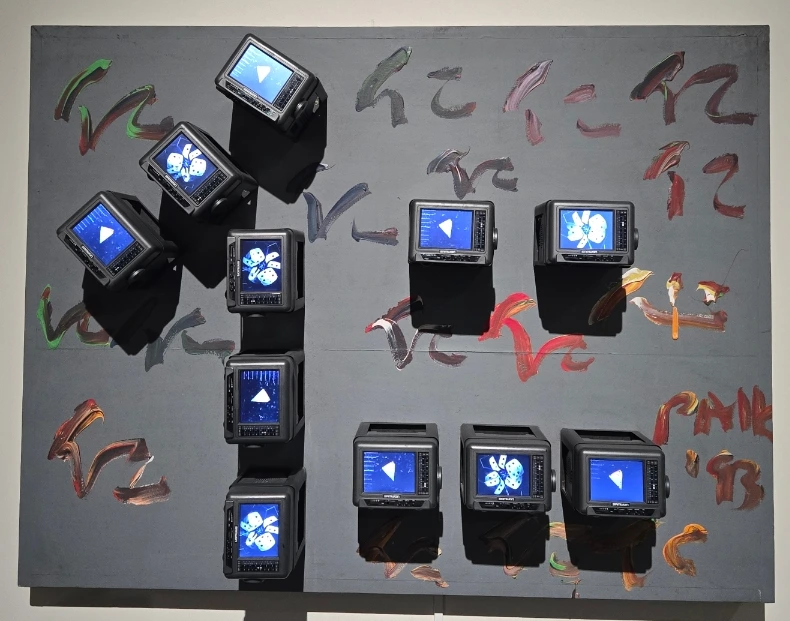 SE-d3a0f561-f9a0-11f0-b0a4-49cfff34312b.jpg?type=w1