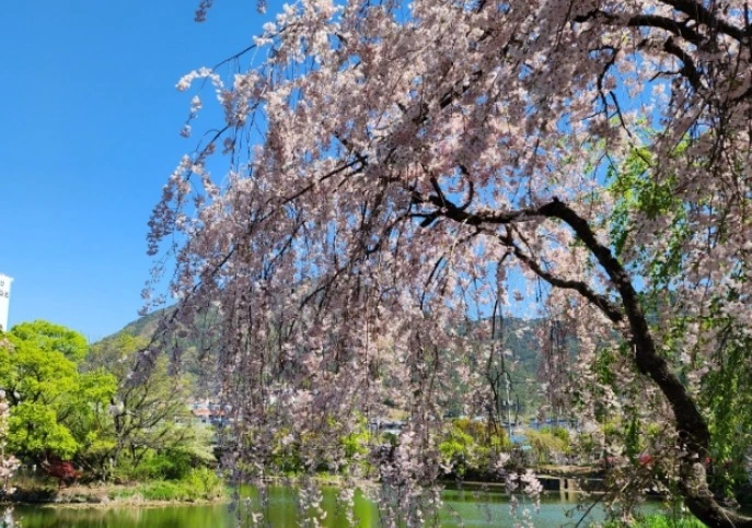 웹 캡처_15-4-2023_20247_blog.naver.com.jpeg