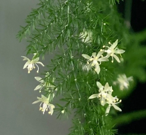 웹 캡처_14-3-2023_161545_blog.naver.com.jpeg