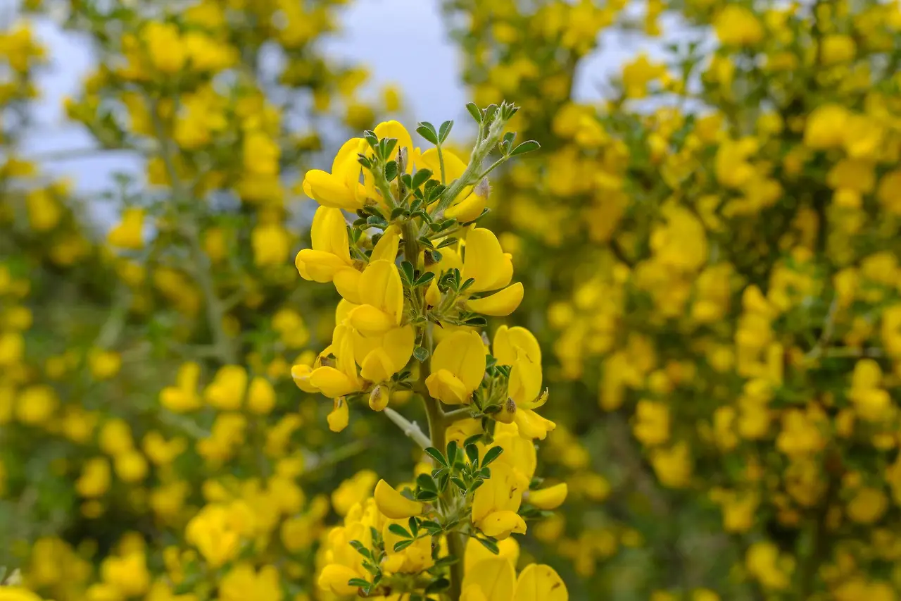 Ofjp2vy8-odQzXzspORwsUQIsuBdtJOfWkggwuX8iCXaK9BGCowImb9NLyMionX6KhNNRqG-XE2kmWqUsy5ejdr53y8cZWN-4-qTJpx5mR0?purpose=fullsize&v=1